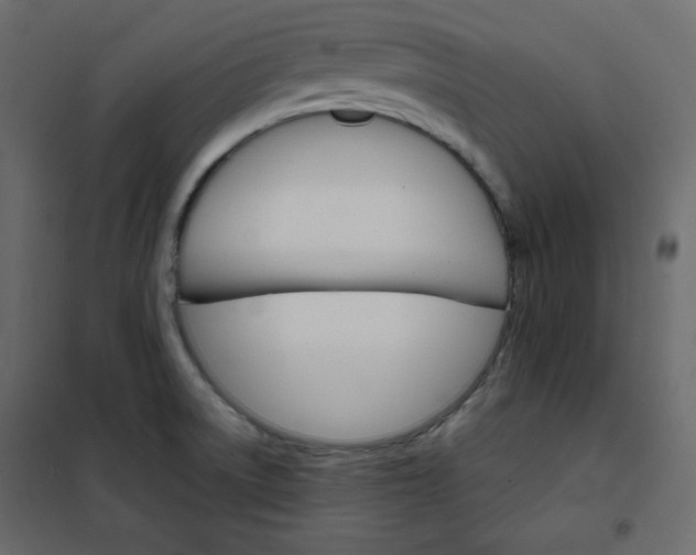 X0000102261522200808081349