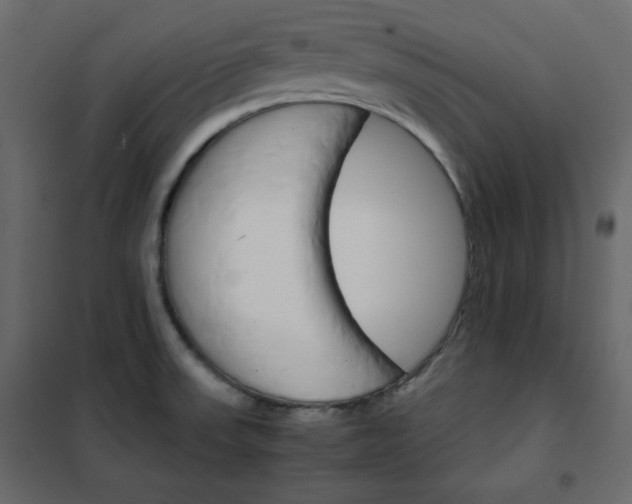 X0000102261523200808081349