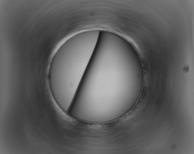 X0000102261524200808081349