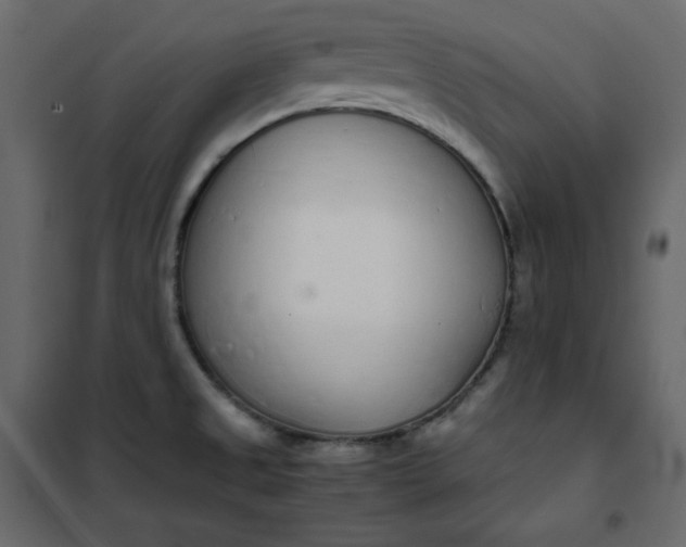 X0000102261525200808081349