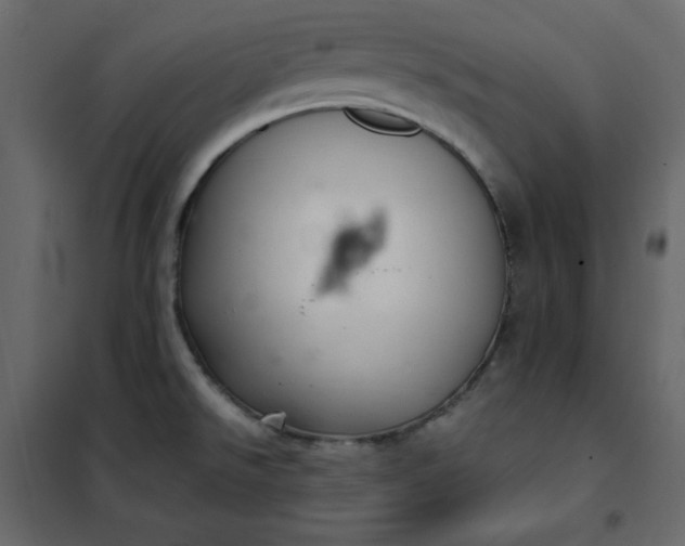 X0000102261526200808081349