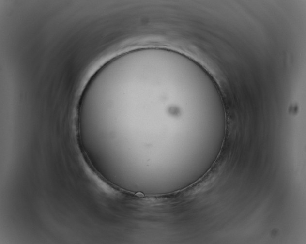 X0000102261527200808081349