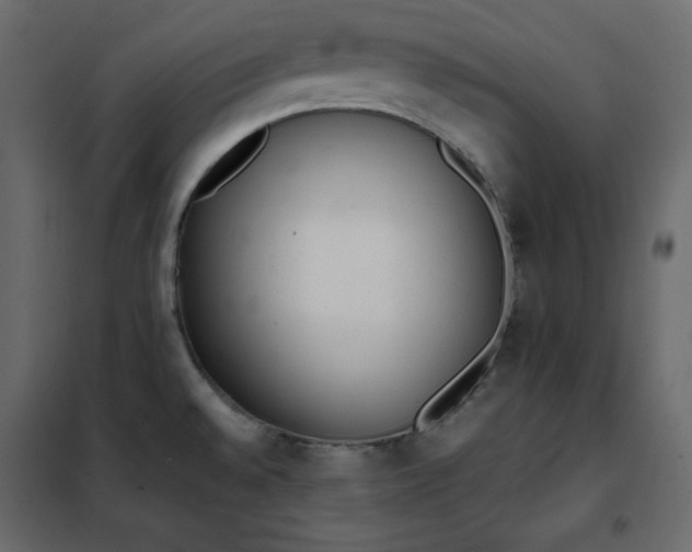 X0000102261528200808081349