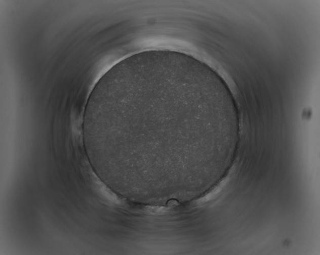 X0000102261529200808081349