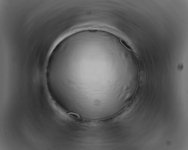 X0000102261530200808081349