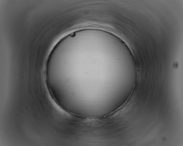 X0000102261531200808081349