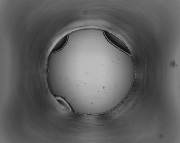 X0000102261532200808081349