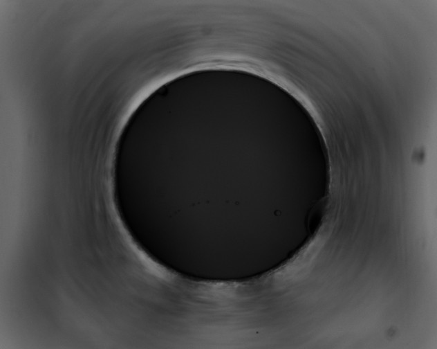 X0000102261533200808081349