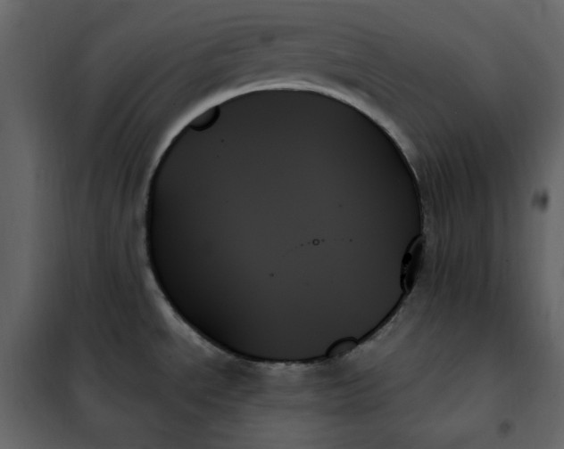 X0000102261534200808081349