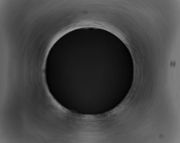 X0000102261536200808081349