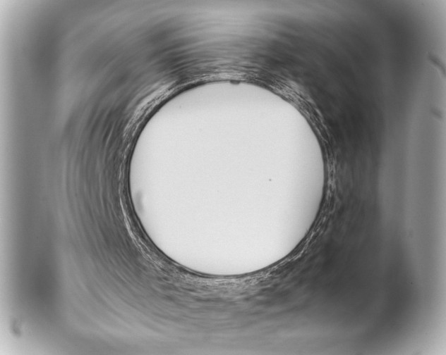 X0000102260001200808151851
