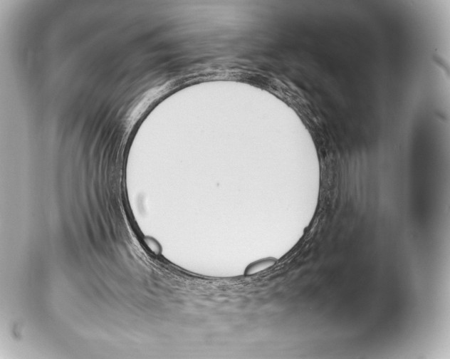 X0000102260003200808151851