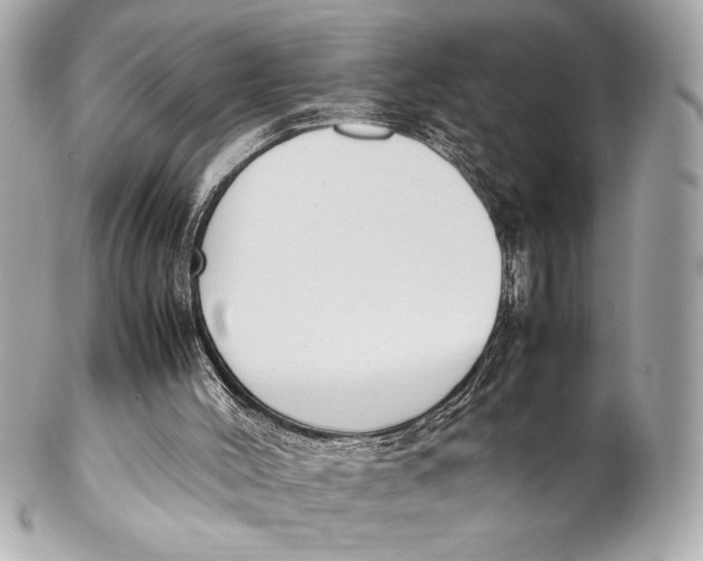 X0000102260004200808151851