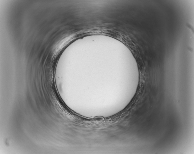 X0000102260005200808151851