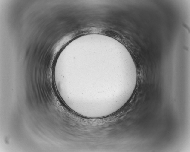 X0000102260006200808151851