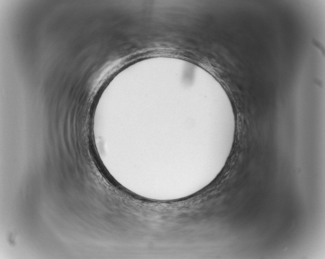 X0000102260007200808151851