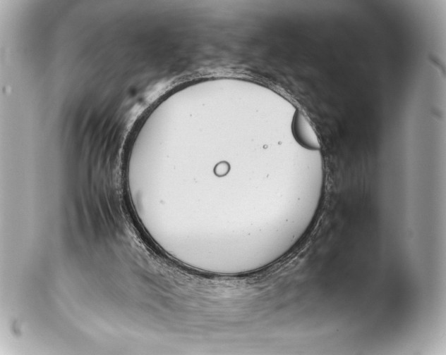 X0000102260008200808151851