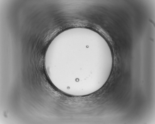 X0000102260009200808151851