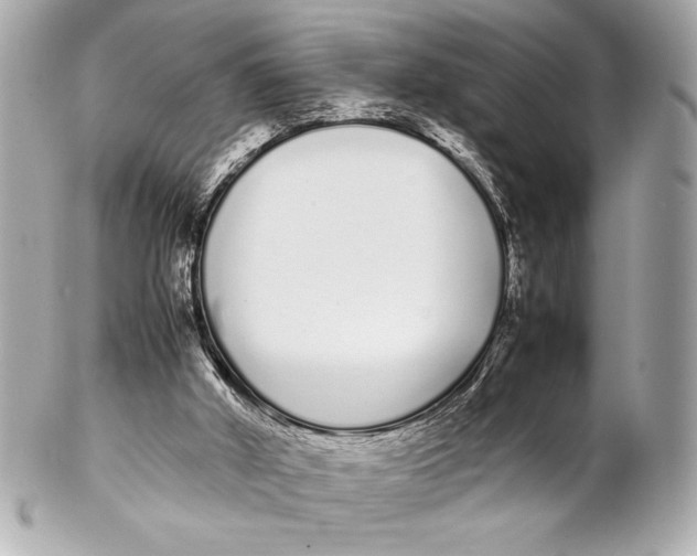 X0000102260010200808151851