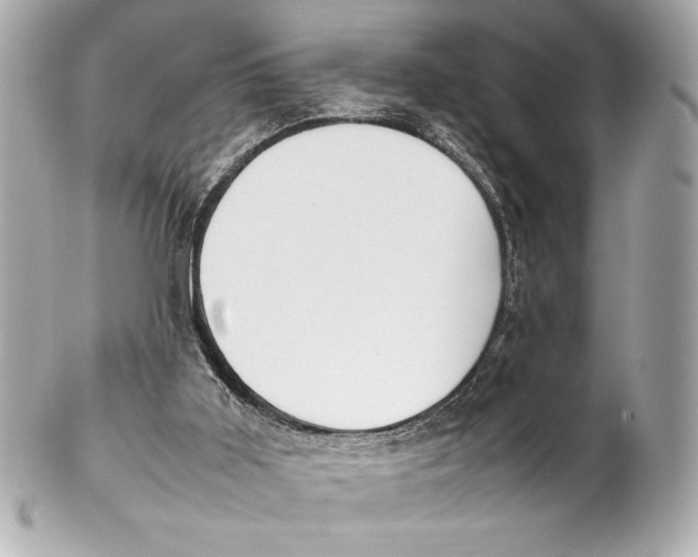X0000102260011200808151851