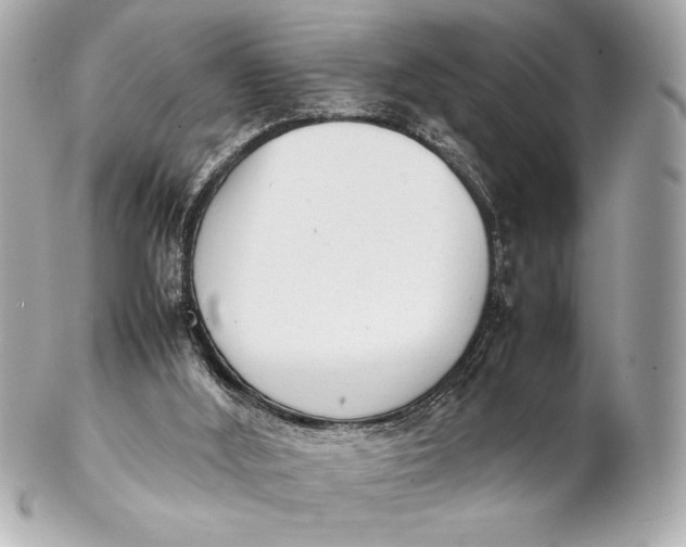 X0000102260012200808151851