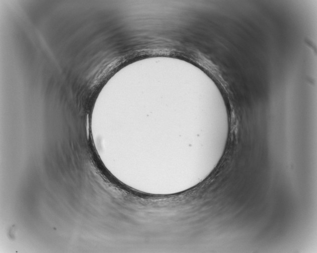 X0000102260013200808151851