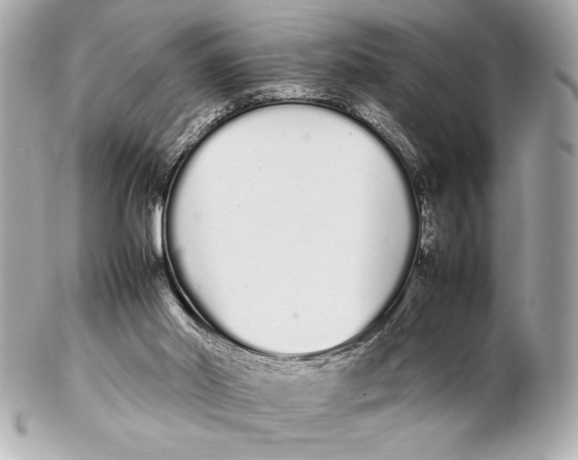 X0000102260014200808151851