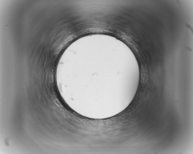 X0000102260015200808151851