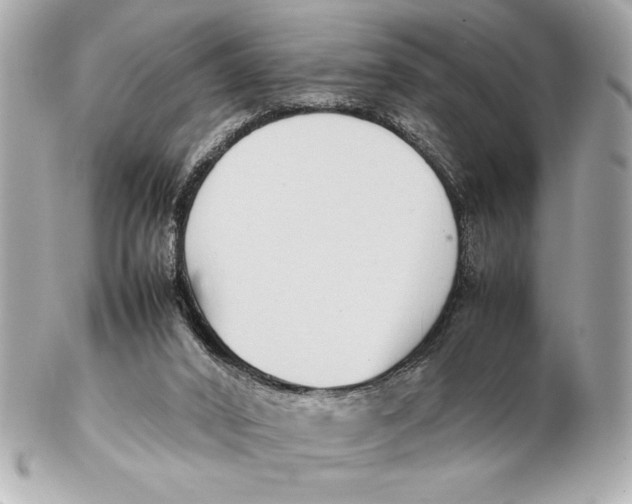 X0000102260016200808151851