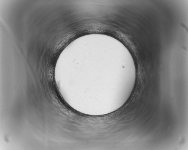 X0000102260017200808151851