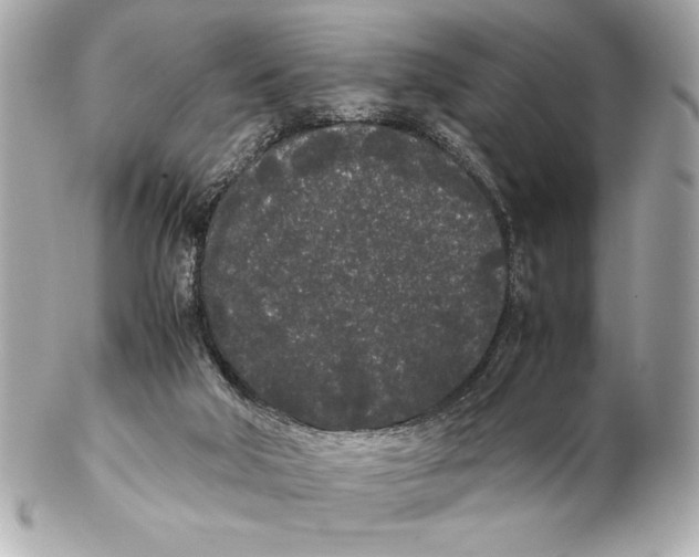 X0000102260018200808151851