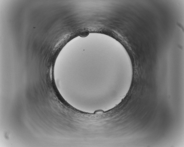 X0000102260019200808151851