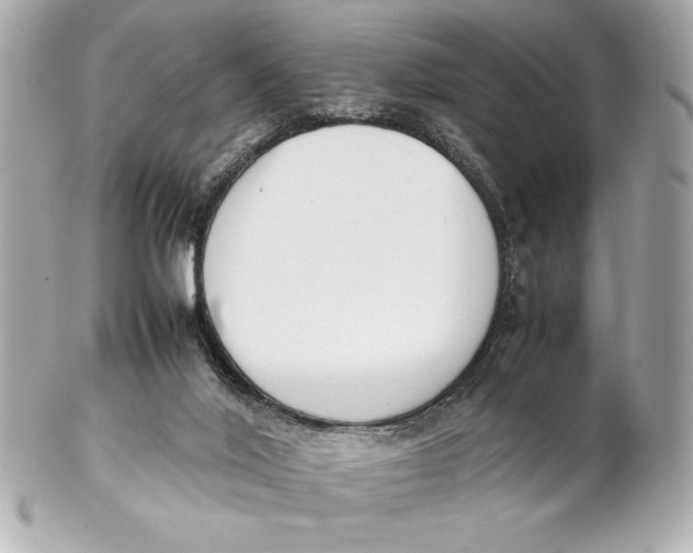X0000102260020200808151851