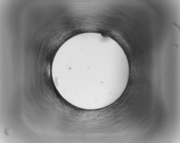 X0000102260021200808151851