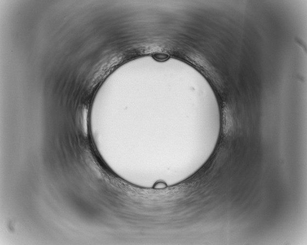 X0000102260022200808151851