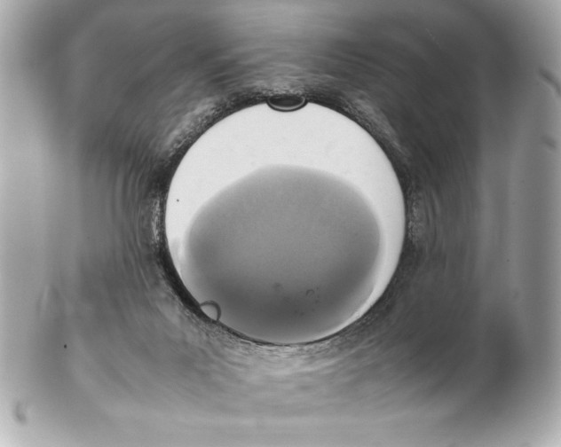 X0000102260023200808151851