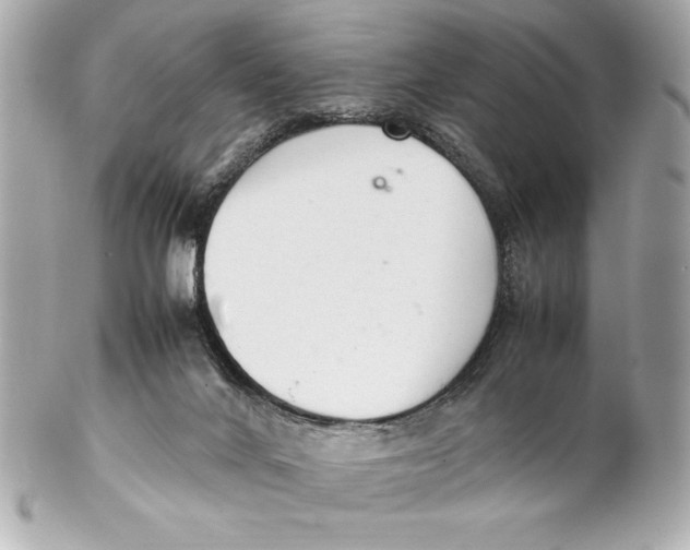 X0000102260024200808151851
