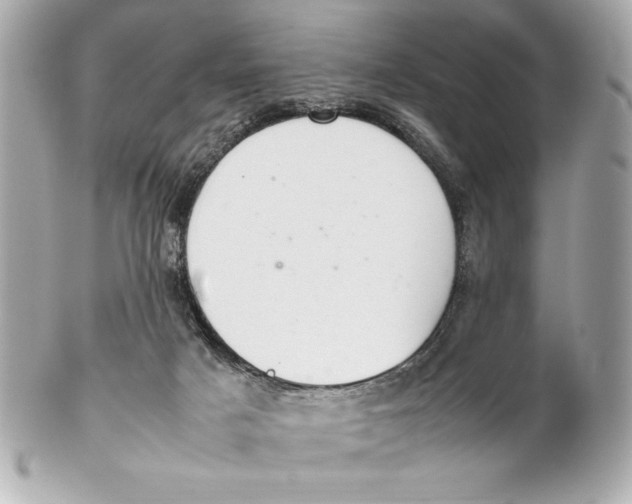 X0000102260025200808151851