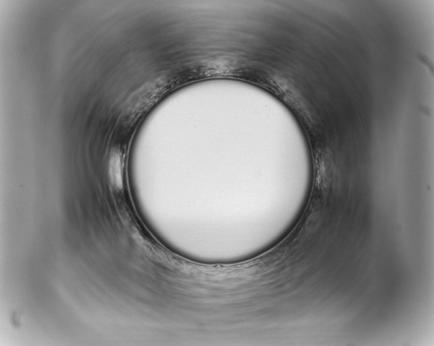 X0000102260026200808151851