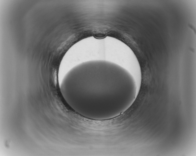 X0000102260027200808151851