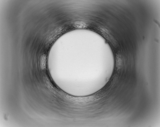 X0000102260030200808151851