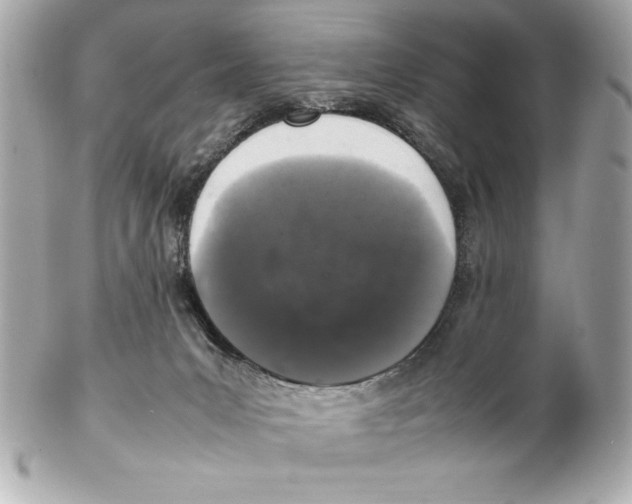 X0000102260031200808151851