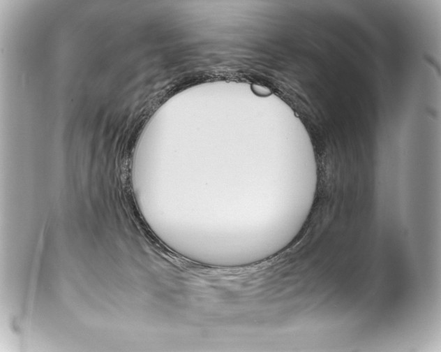 X0000102260033200808151851
