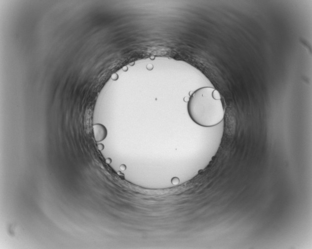 X0000102260034200808151851