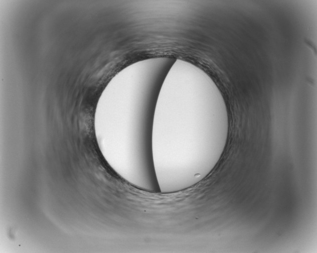 X0000102260035200808151851