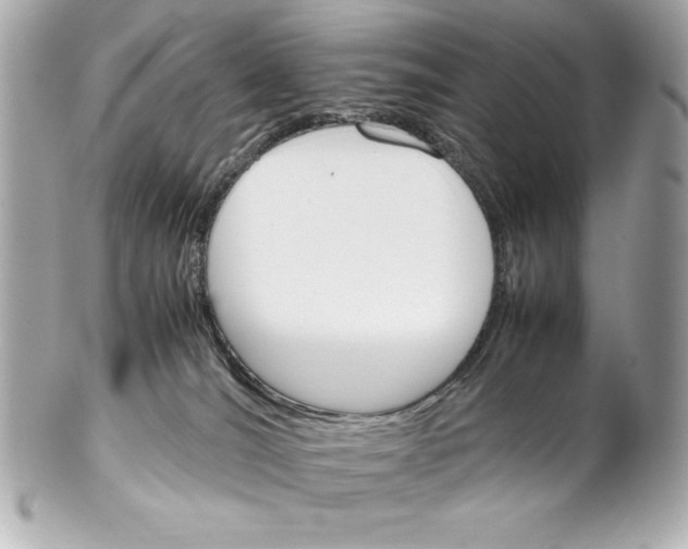 X0000102260036200808151851