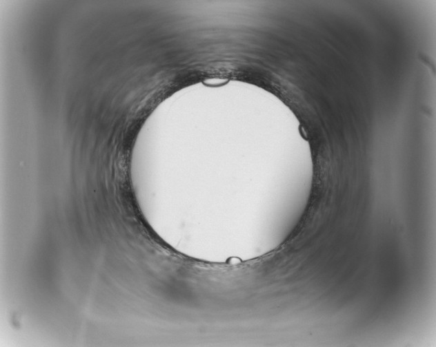 X0000102260037200808151851