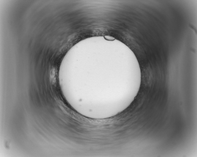 X0000102260038200808151851