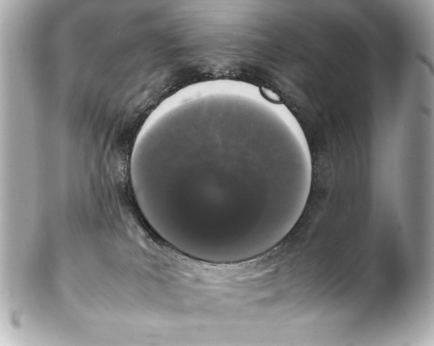 X0000102260039200808151851