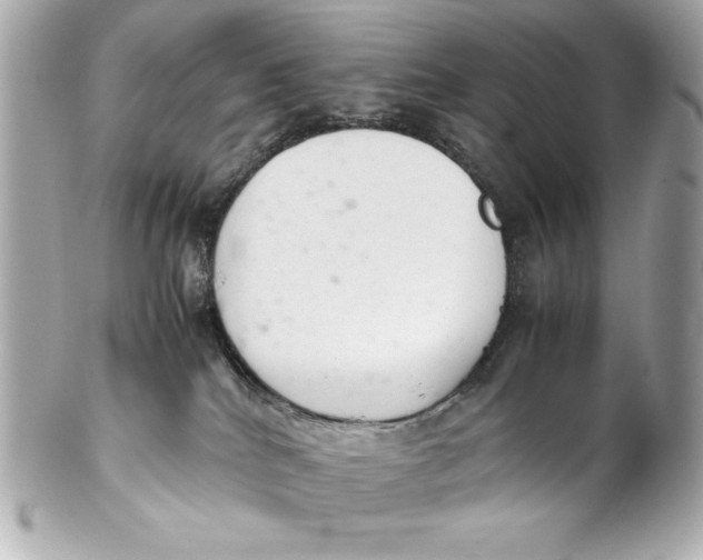 X0000102260040200808151851